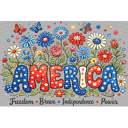 USA-MG 3683